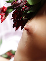Tiny Breasts, Nastia | Alstroemeria